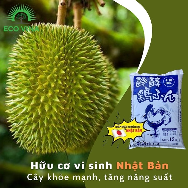phân gà bột vi sinh Nhật Bản 